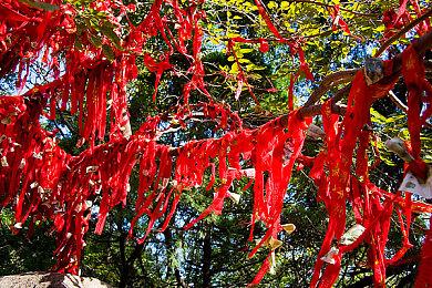 开放世界恐怖射击游戏《小火车查尔斯》新实机演示