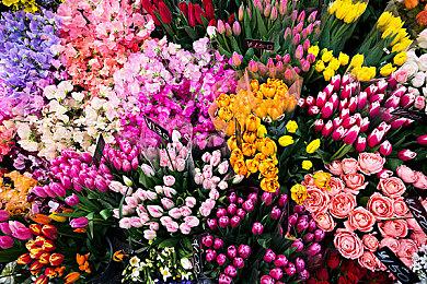 休闲治愈风格ASMR新作《兽耳红茶馆》今秋上市 